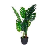 Plantas Vivas y Artificiales